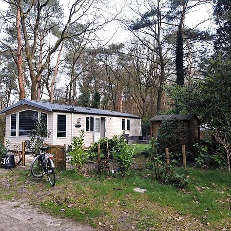 Ruim Chalet, Midden In Het Bos! 宁斯佩特 外观 照片