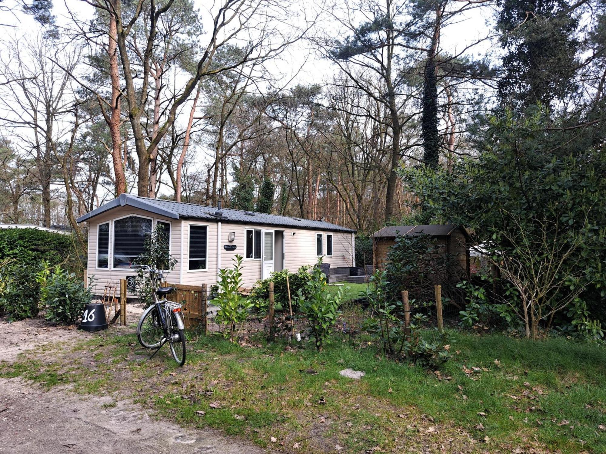 Ruim Chalet, Midden In Het Bos! 宁斯佩特 外观 照片