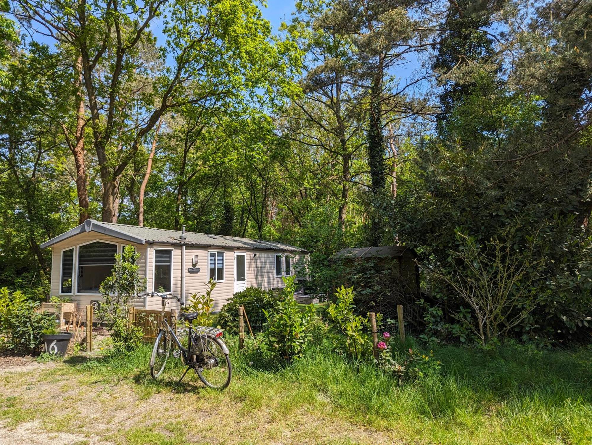 Ruim Chalet, Midden In Het Bos! 宁斯佩特 外观 照片